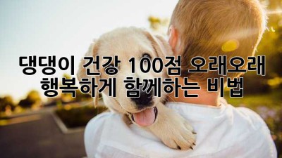 🐶 댕댕이 건강 100점! 오래오래 행복하게 함께하는 비법 🥰